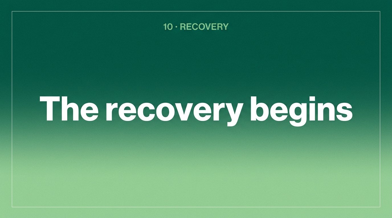 The recovery begins — variant C