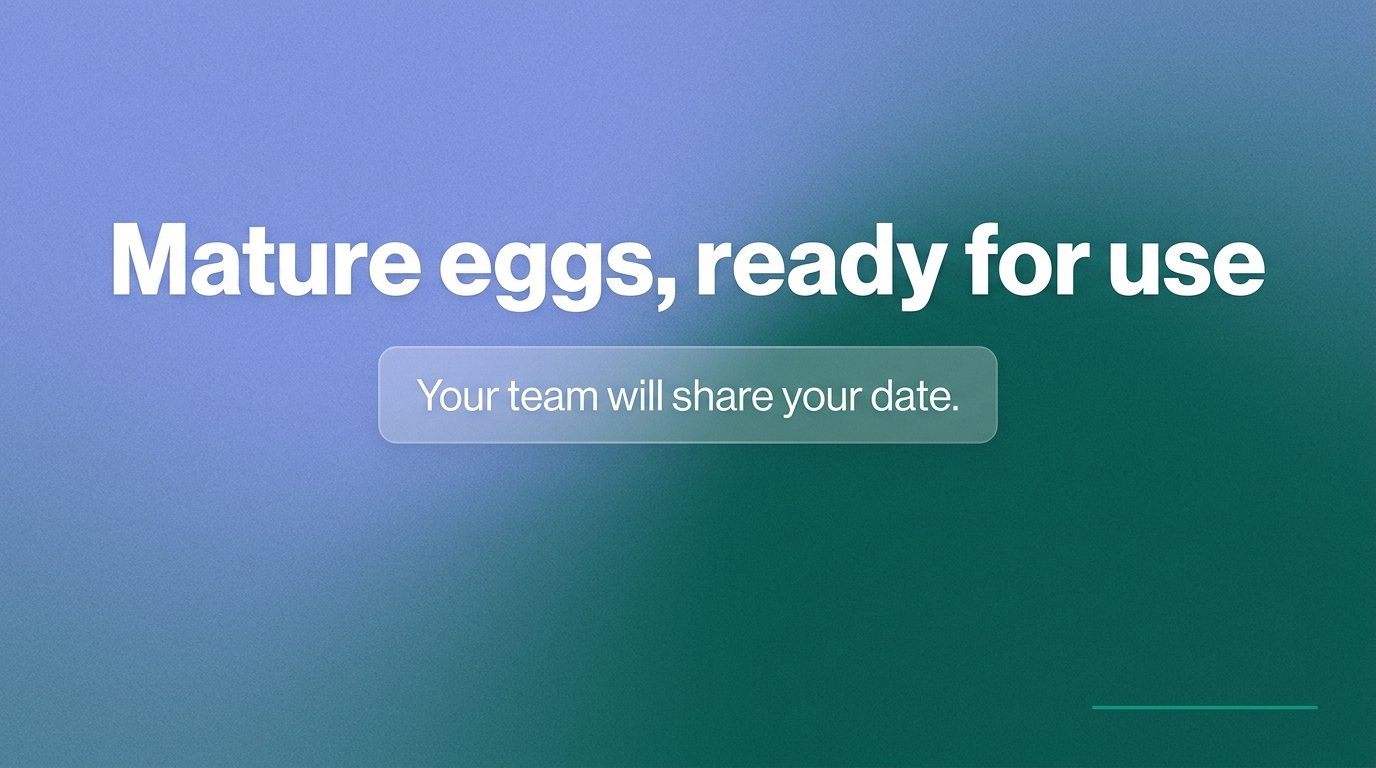 Mature eggs, ready for use — variant B
