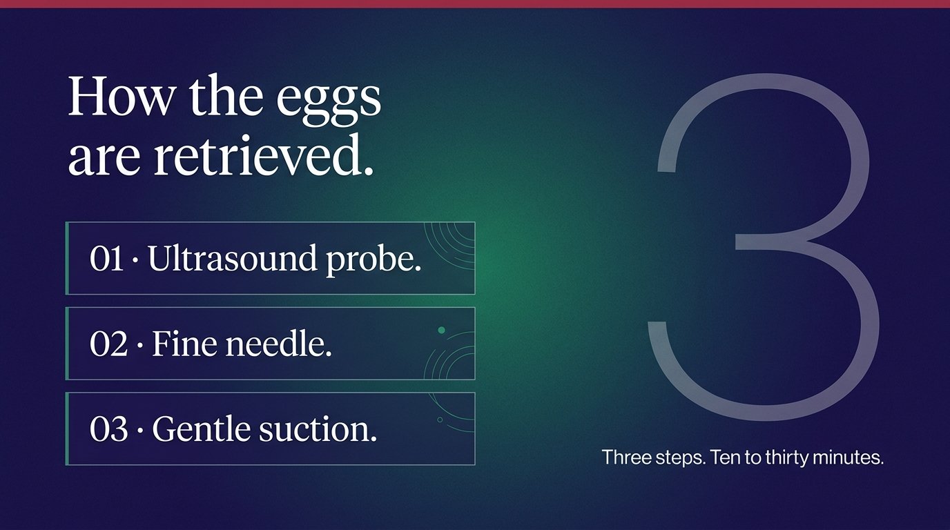 How the eggs are retrieved — variant B