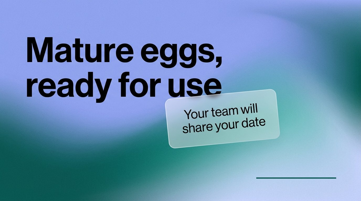 Mature eggs, ready for use — variant B
