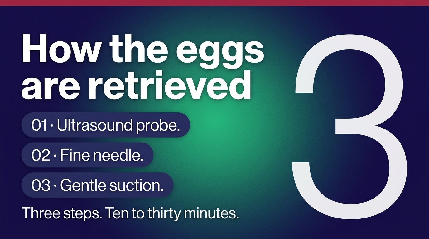 How the eggs are retrieved — variant A