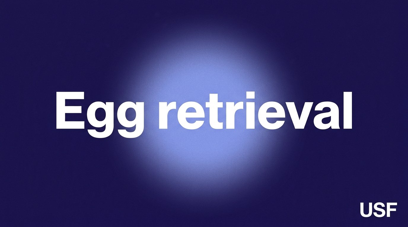 Egg retrieval — variant B