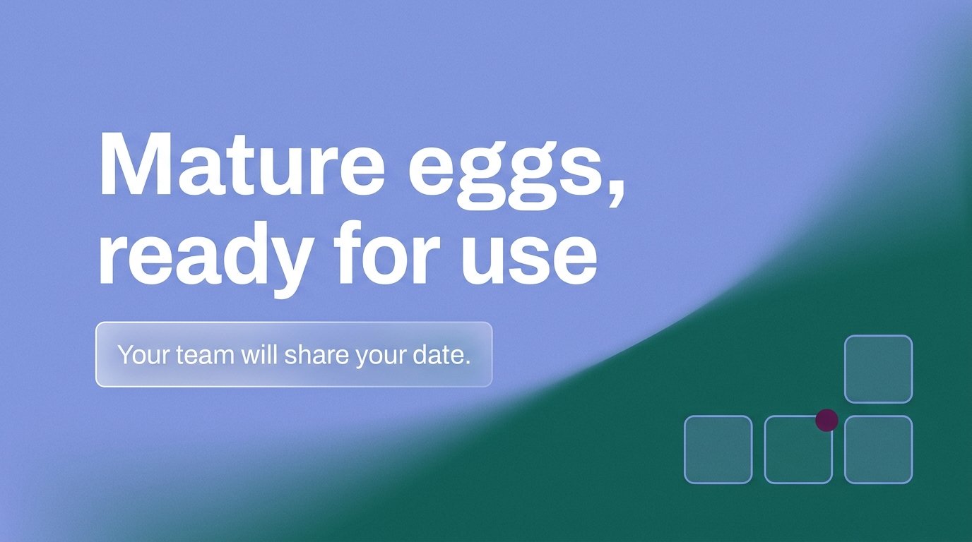 Mature eggs, ready for use — variant B